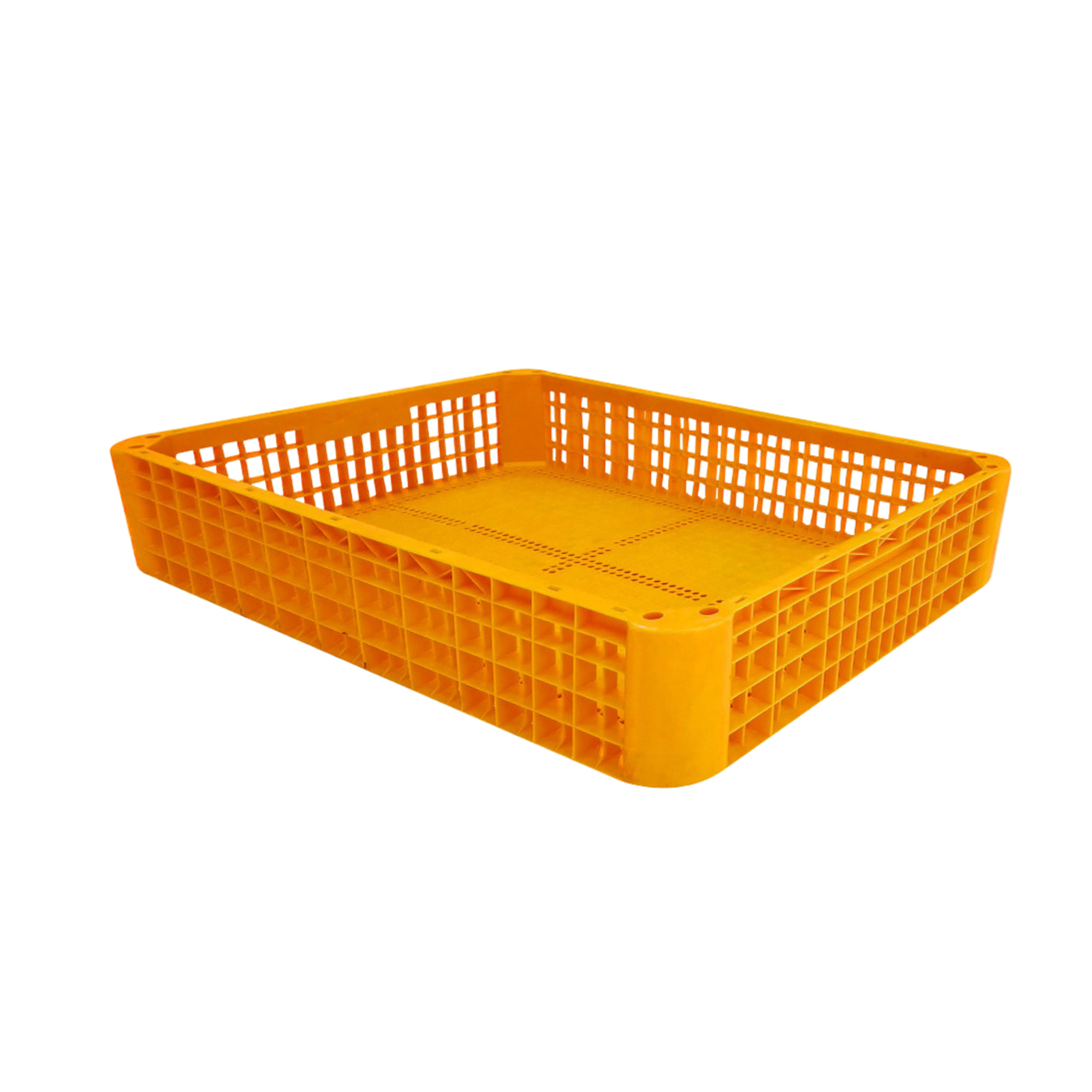 Chicken Cage Drawer UAE | NextBridge