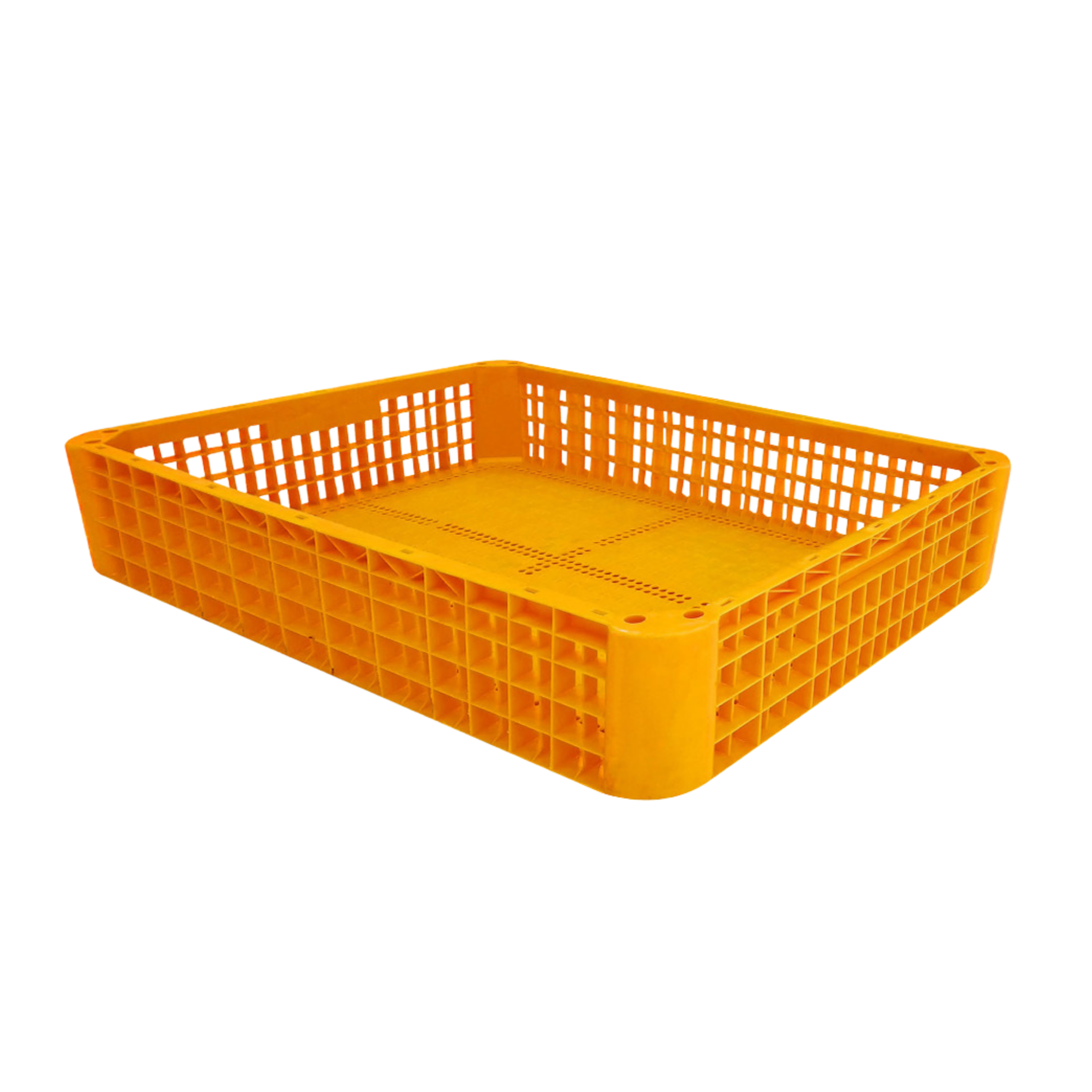 Chicken Cage Drawer UAE | NextBridge - Image 2