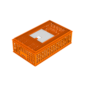 Live Chicken Plastic Cage UAE | NextBridge